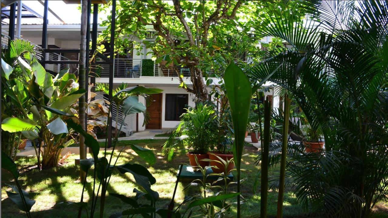 Wide Mouth Frog Quepos Hostel Manuel Antonio Exterior photo